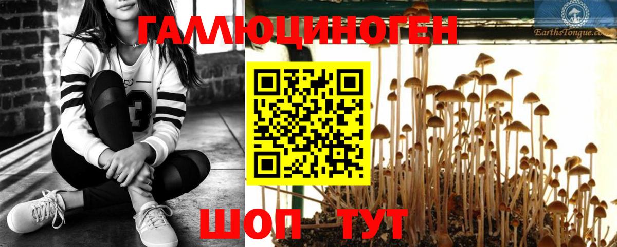 Салехард  Галлюциногенные грибы Cubensis  Вход с VPN  купить наркотики цена  Галлюциногенные грибы мицелий 